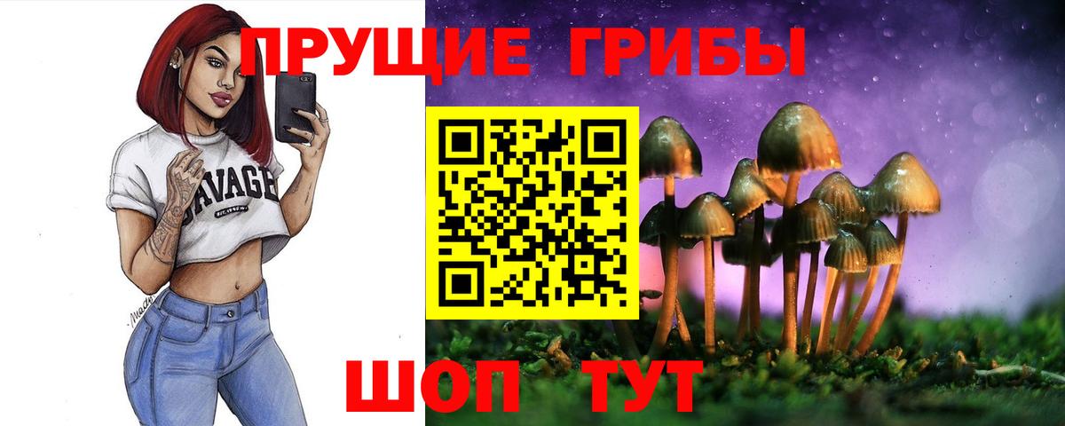 Галлюциногенные грибы GOLDEN TEACHER  Вход с VPN  Димитровград 