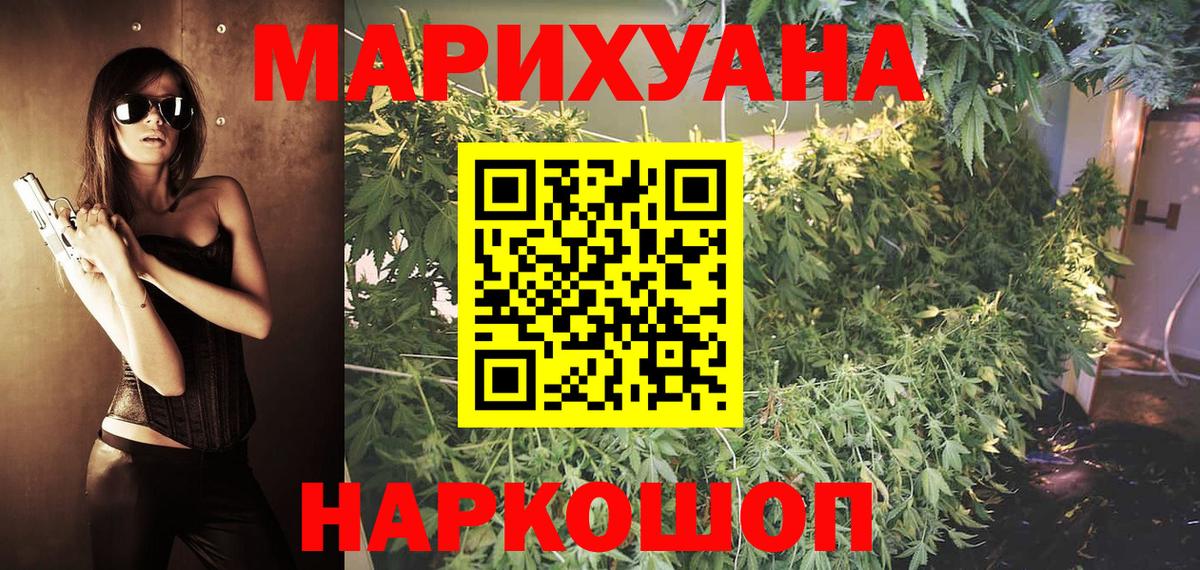 Конопля планчик Димитровград